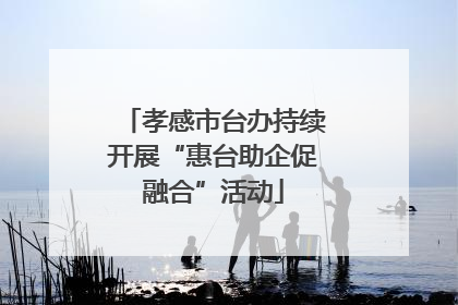 孝感市台办持续开展“惠台助企促融合”活动