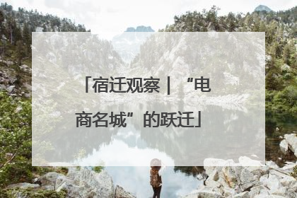 宿迁观察｜“电商名城”的跃迁