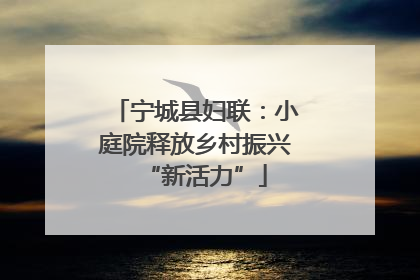 宁城县妇联：小庭院释放乡村振兴“新活力”