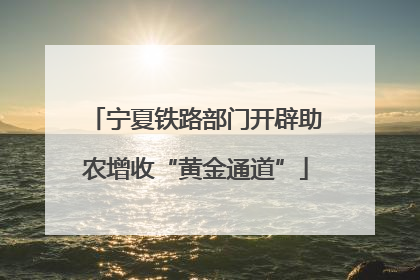 宁夏铁路部门开辟助农增收“黄金通道”