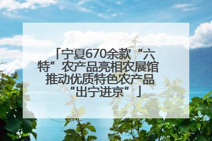 宁夏670余款“六特”农产品亮相农展馆 推动优质特色农产品“出宁进京”