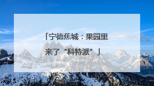 宁德蕉城：果园里来了“科特派”