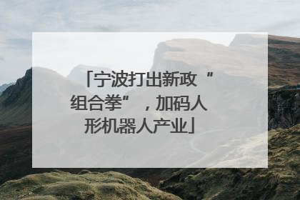 宁波打出新政“组合拳”，加码人形机器人产业