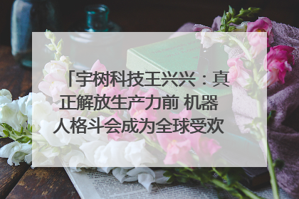 宇树科技王兴兴：真正解放生产力前 机器人格斗会成为全球受欢迎的赛事｜科技观察