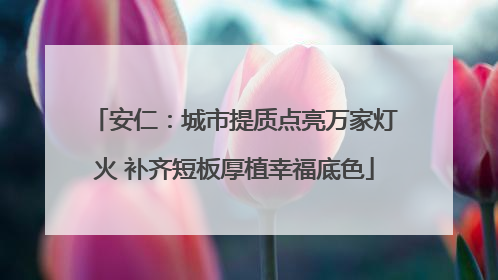 安仁：城市提质点亮万家灯火 补齐短板厚植幸福底色