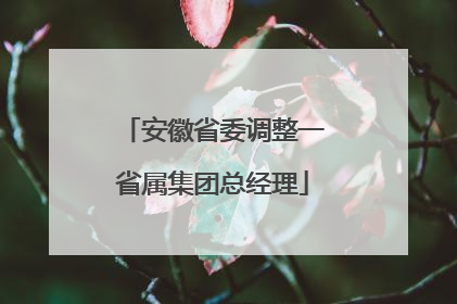 安徽省委调整一省属集团总经理