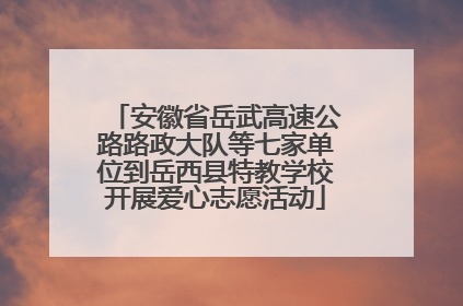 安徽省岳武高速公路路政大队等七家单位到岳西县特教学校开展爱心志愿活动