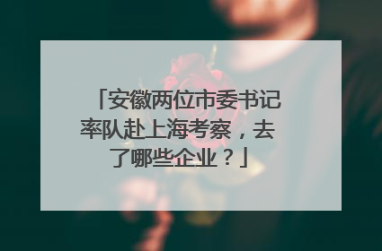 安徽两位市委书记率队赴上海考察，去了哪些企业？