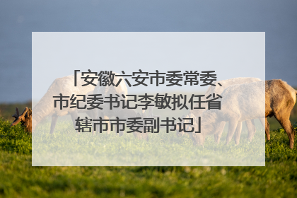 安徽六安市委常委、市纪委书记李敏拟任省辖市市委副书记