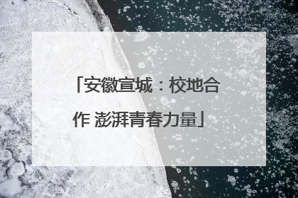 安徽宣城：校地合作 澎湃青春力量