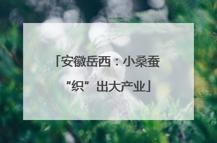 安徽岳西：小桑蚕“织”出大产业