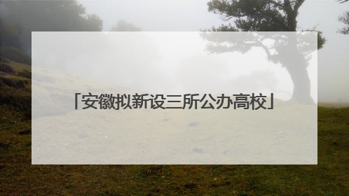 安徽拟新设三所公办高校