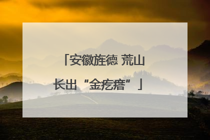 安徽旌德 荒山长出“金疙瘩”