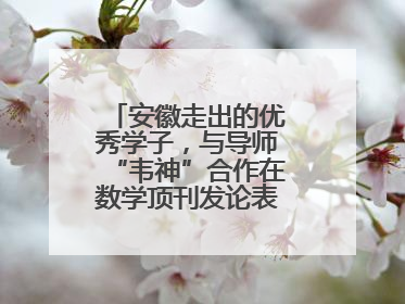 安徽走出的优秀学子，与导师“韦神”合作在数学顶刊发论表重要科研成果