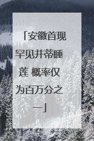 安徽首现罕见并蒂睡莲 概率仅为百万分之一