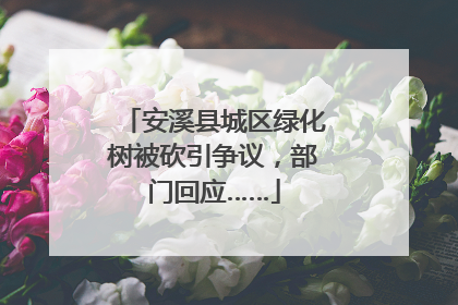 安溪县城区绿化树被砍引争议，部门回应……
