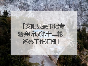 安阳县委书记专题会听取第十二轮巡察工作汇报