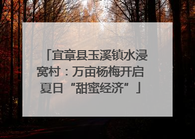 宜章县玉溪镇水浸窝村：万亩杨梅开启夏日“甜蜜经济”