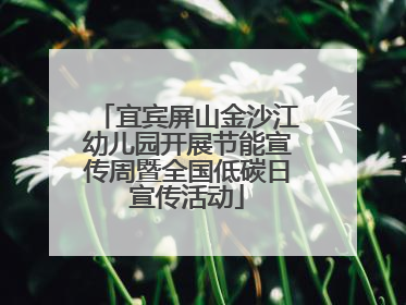 宜宾屏山金沙江幼儿园开展节能宣传周暨全国低碳日宣传活动