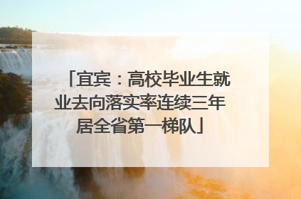 宜宾：高校毕业生就业去向落实率连续三年居全省第一梯队