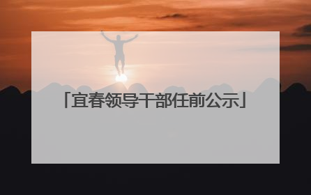 宜春领导干部任前公示