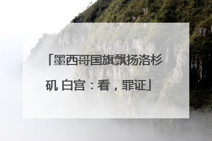 墨西哥国旗飘扬洛杉矶 白宫：看，罪证