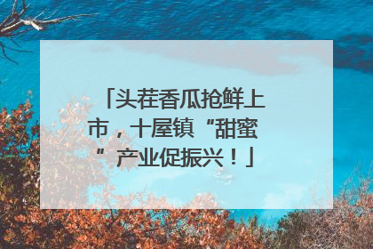 头茬香瓜抢鲜上市，十屋镇“甜蜜”产业促振兴！