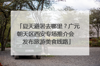 夏天避暑去哪里？广元朝天区西安专场推介会 发布旅游美食线路