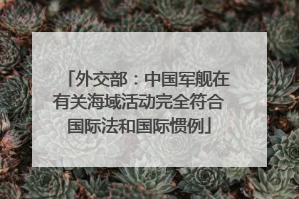 外交部：中国军舰在有关海域活动完全符合国际法和国际惯例
