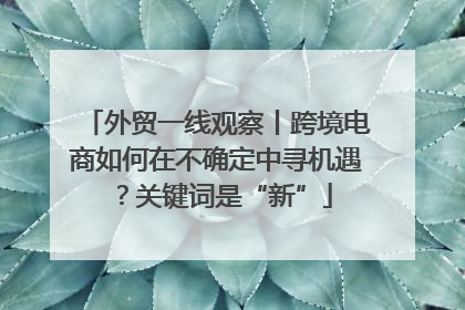 外贸一线观察丨跨境电商如何在不确定中寻机遇？关键词是“新”