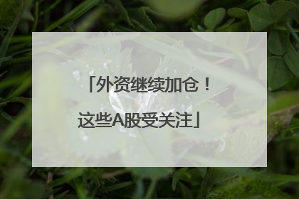 外资继续加仓！这些A股受关注