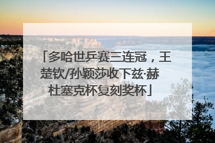 多哈世乒赛三连冠，王楚钦/孙颖莎收下兹·赫杜塞克杯复刻奖杯