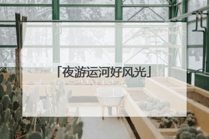 夜游运河好风光