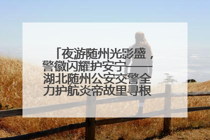夜游随州光影盛，警徽闪耀护安宁——湖北随州公安交警全力护航炎帝故里寻根节夜游活动侧记