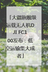 大疆旗舰级运载无人机DJI FC100发布：低空运输集大成者