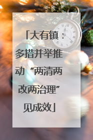 大有镇：多措并举推动“两清两改两治理”见成效
