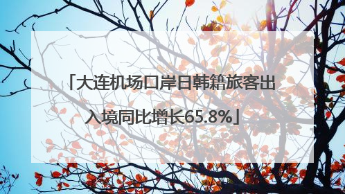 大连机场口岸日韩籍旅客出入境同比增长65.8%