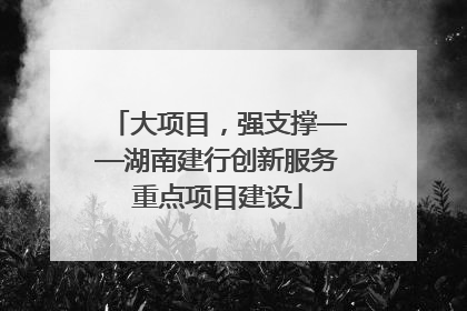 大项目，强支撑——湖南建行创新服务重点项目建设