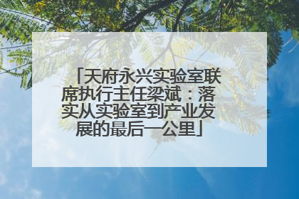 天府永兴实验室联席执行主任梁斌：落实从实验室到产业发展的最后一公里