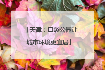 天津：口袋公园让城市环境更宜居