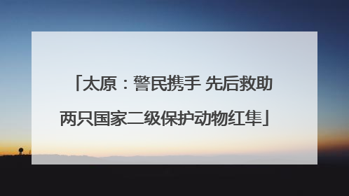 太原：警民携手 先后救助两只国家二级保护动物红隼