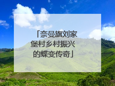 奈曼旗刘家堡村乡村振兴的蝶变传奇