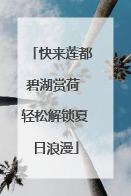 快来莲都碧湖赏荷 轻松解锁夏日浪漫