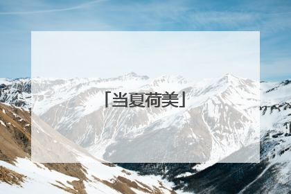 当夏荷美