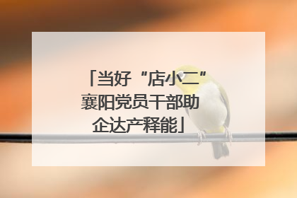 当好“店小二” 襄阳党员干部助企达产释能