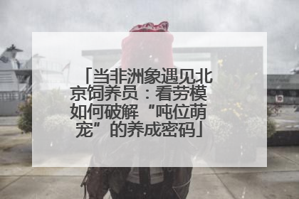 当非洲象遇见北京饲养员：看劳模如何破解“吨位萌宠”的养成密码