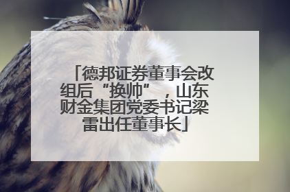 德邦证券董事会改组后“换帅”，山东财金集团党委书记梁雷出任董事长