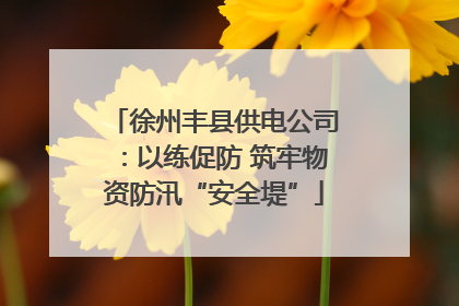 徐州丰县供电公司：以练促防 筑牢物资防汛“安全堤”