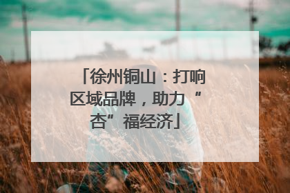 徐州铜山：打响区域品牌，助力“杏”福经济