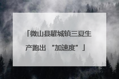 微山县驩城镇三夏生产跑出 “加速度”